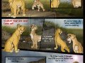 tlk_the_heirs_7_by_Savu0211.jpg